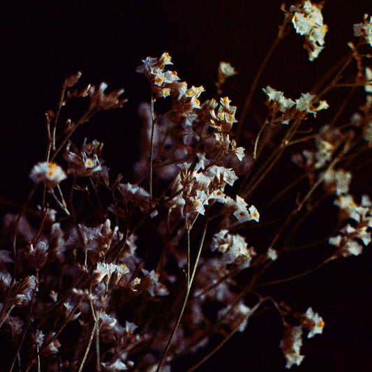 Intuition is a Language that Teaches Itself