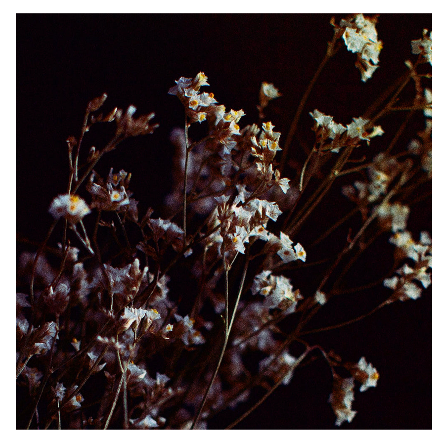 Pain, Suffering, and Spiritual Reality