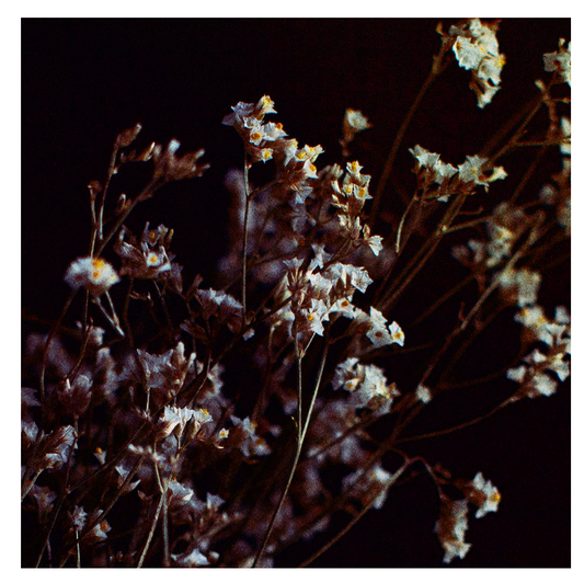 Pain, Suffering, and Spiritual Reality